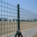 Green Holland fence Strong
